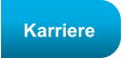 Karriere